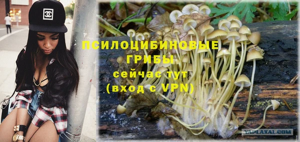 спайс Карпинск