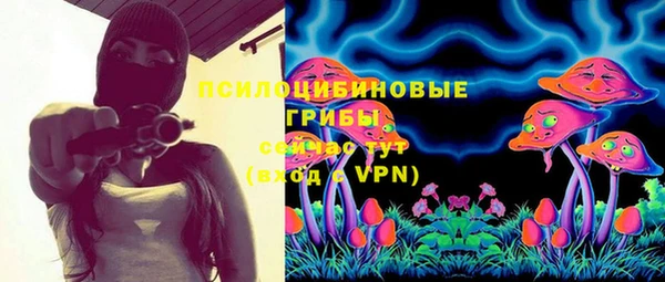 спиды Киреевск
