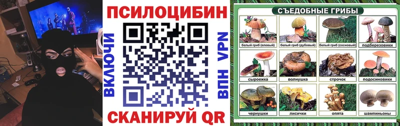 Купить закладки  Ртищево  Псилоцибиновые грибы мицелий 